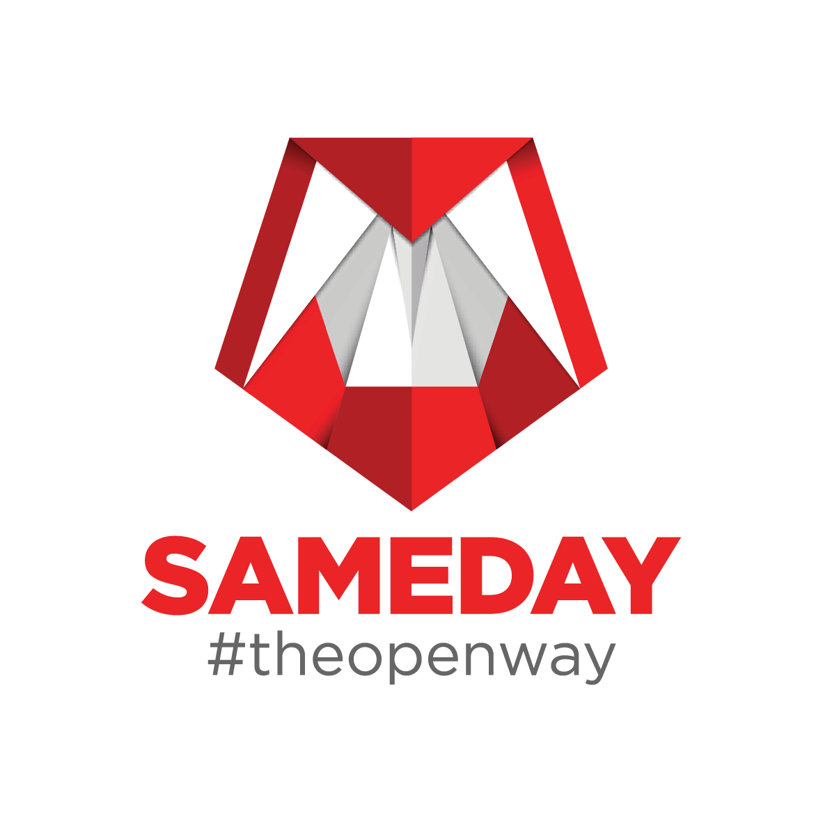 Sameday logo